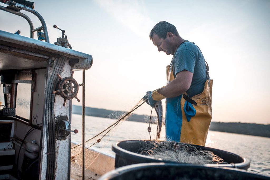 pescador gallego almirante
