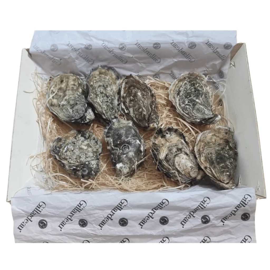 Caja 8x ostras Guillardeau
