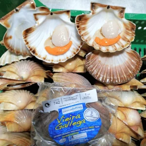 Viera gallega en caja