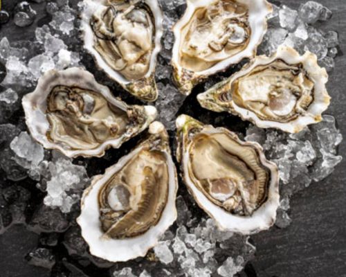 Ostras, el manjar con sabor a mar